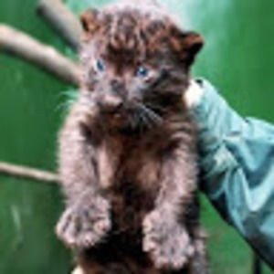 Meet your Posher, Helaina